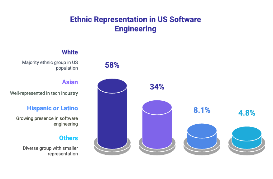 How Many Software Engineers Are There In The US? (2025 Statistics) 1 An infographic showing software engineers by demographics.