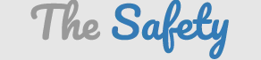 TheSafety.US Logo