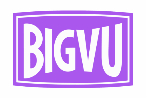 BigVu Logo