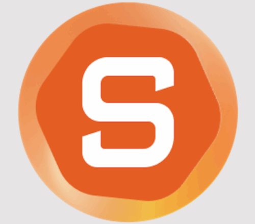 Saner Logo