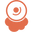 Dzees Camera Logo