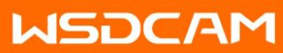Wsdcam Logo